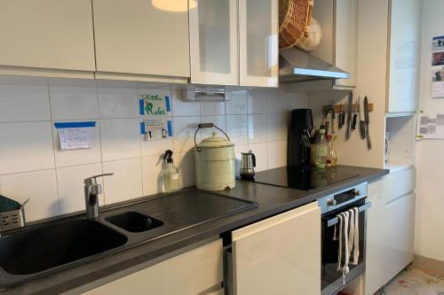 Spacious apartment with sunny terrace - image 10