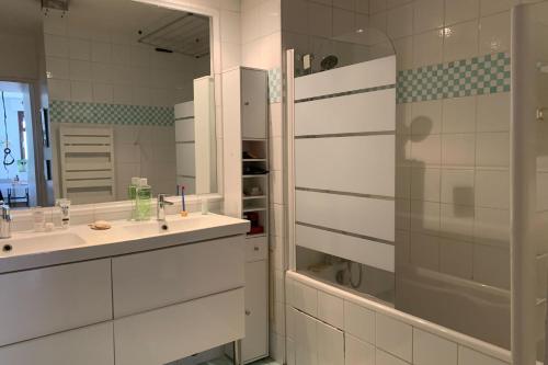 Spacious apartment with sunny terrace - image 7