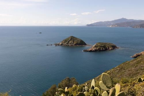 Casa Natura & Relax - HelloElba gîte à louer Palazzo