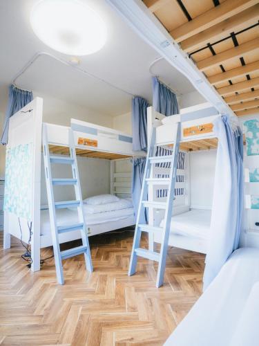 Guesthouse All you need - All rooms have an ocean view! Room Type - 6-Bed Mixed Dormitory Room