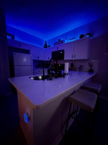 Downtown Orlando Modern Zen Studio Private Hot Tub - image 2