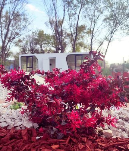 EloA Glamping