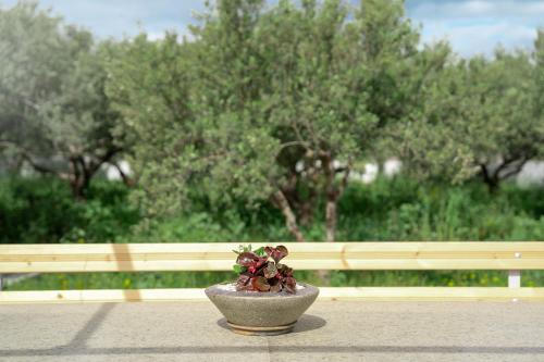 Olive Bliss Retreat gîte à louer Káto Episkopí