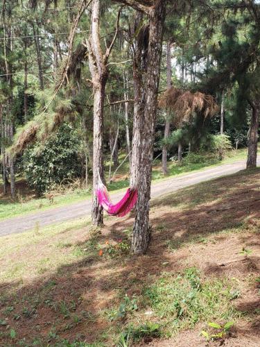 Nido cabin in Cerro Azul