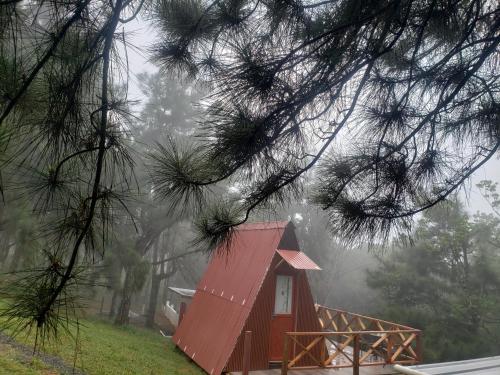 Nido cabin in Cerro Azul