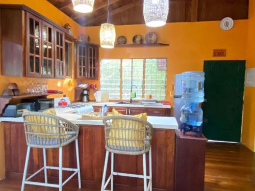 The Howler Jungle House and Cabanas in Burrell Boom