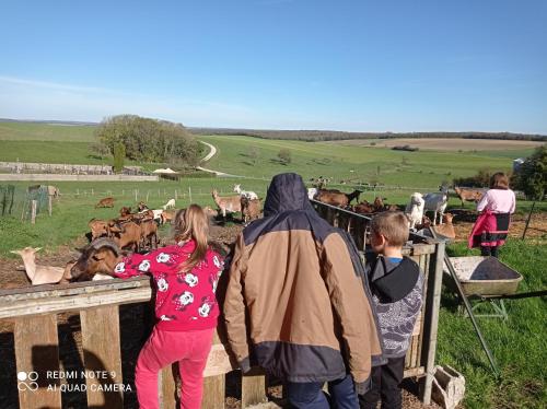 Lodge 1 insolite sur camping à la ferme (Lodge 1 insolite sur camping a la ferme) in Mauvages