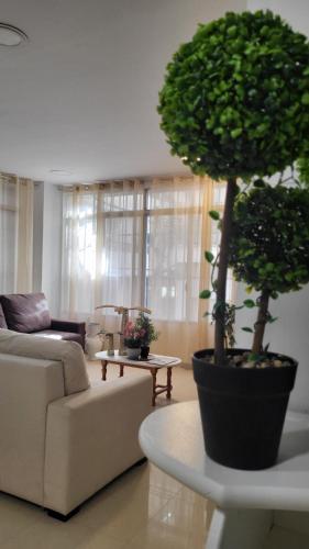 gedeelde lounge/tv-ruimte, Hotel Moli Beach in Benidorm