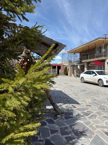 Vibe Hotel Vanadzor in Vanadzor