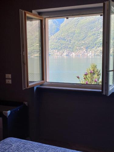 Giardino sul lago, La Vigna in Nesso