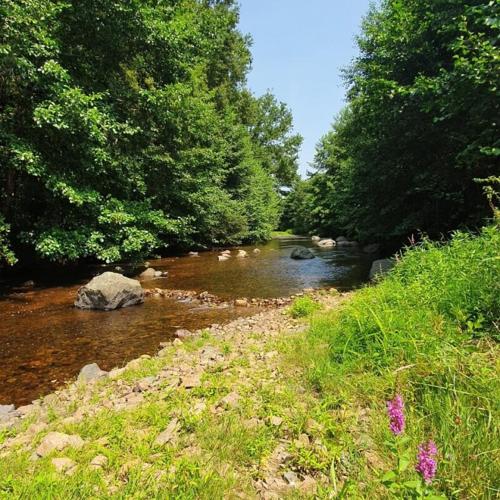 Skats, Friendly Camping and Lodges in Saint-Pardoux-la-Rivière