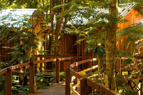 Ieeja, Vista do Lago Jungle Lodge in Cajual