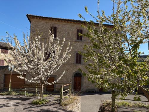 Il Palazzo del Borgo - Affittacamere in Camerata