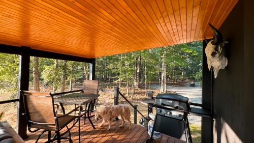 Навколишнє середовище, Bison Farm - Cabin "Cielo" in Бостон
