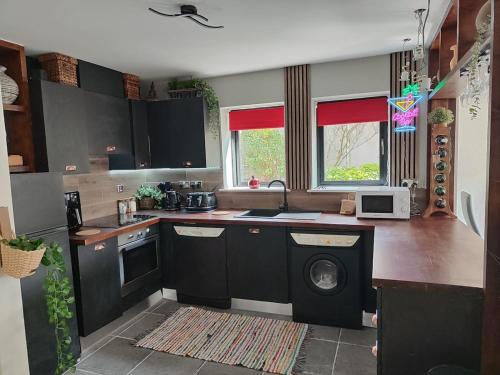 the ring of kerry riverside apartment in 格侖嘉里夫