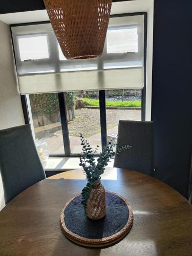 the ring of kerry riverside apartment in 格侖嘉里夫