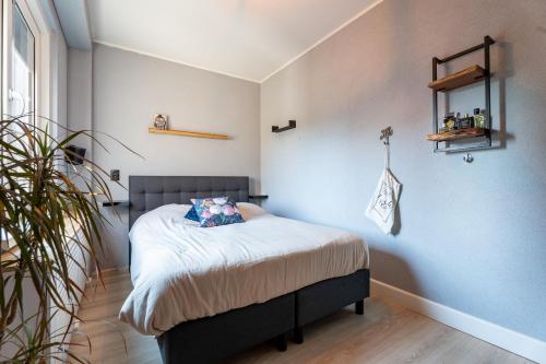 Hoek de luxe in Zoetermeer