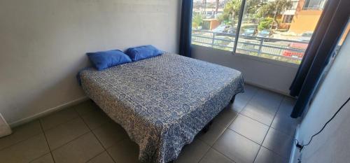 Iquique in 巴赫摩耶