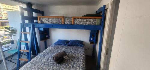 Iquique in 巴赫摩耶