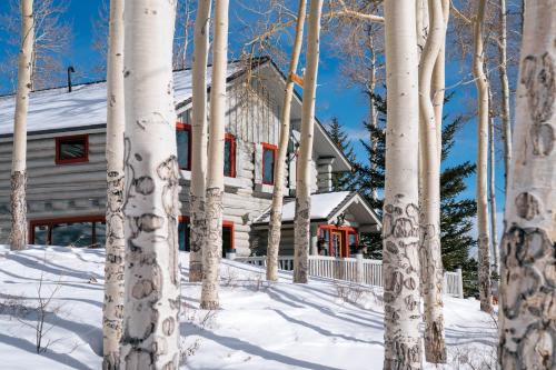 Trappers Cabin in Beaver Creek, USA