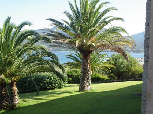 Marina di fiori - main image