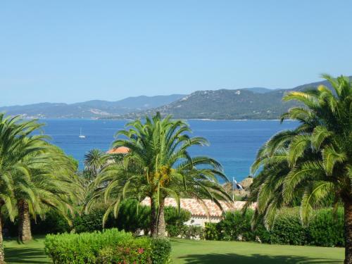 Marina di fiori - image 13