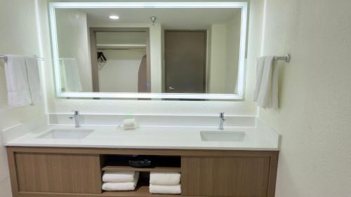 Holiday Inn Houston S - NRG Area - Med Ctr an IHG Hotel - image 34
