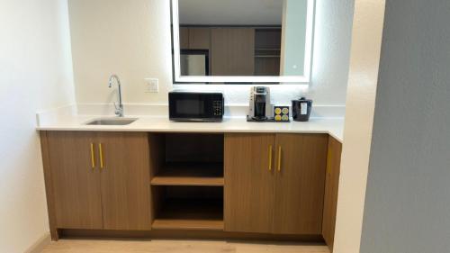 Holiday Inn Houston S - NRG Area - Med Ctr an IHG Hotel - image 37