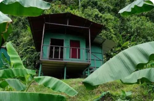 Rioverde Jungle Ecolodge
