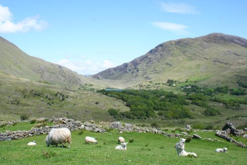 Feirm Cottage