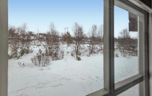 Afficher, Amazing Home In Ustaoset in Ustaoset