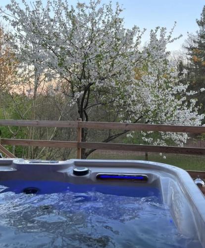 LOU PITCHOUN - Jacuzzi SPA Privé - Vignes - Proche ALBI et CORDES - Location saisonnière - Gaillac