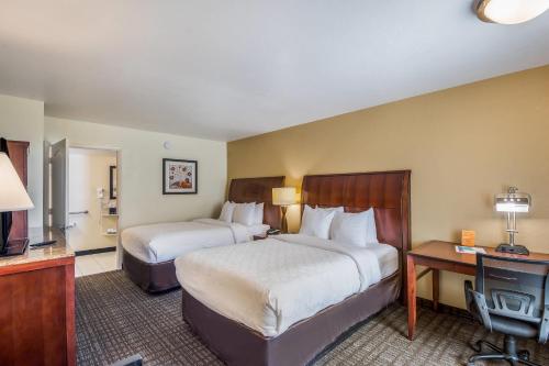 Clarion Inn & Suites Central Clearwater Beach - image 43