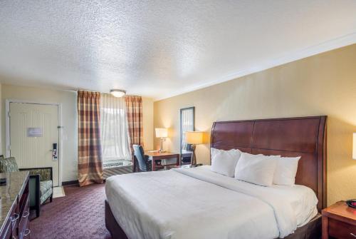 Clarion Inn & Suites Central Clearwater Beach - image 23
