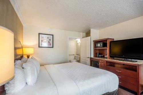 Clarion Inn & Suites Central Clearwater Beach - image 41