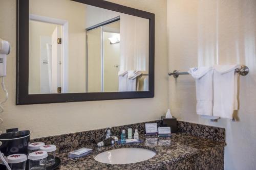 Clarion Inn & Suites Central Clearwater Beach - image 20
