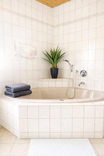Ferienwohnung Penny-Ranch in Dorfchemnitz