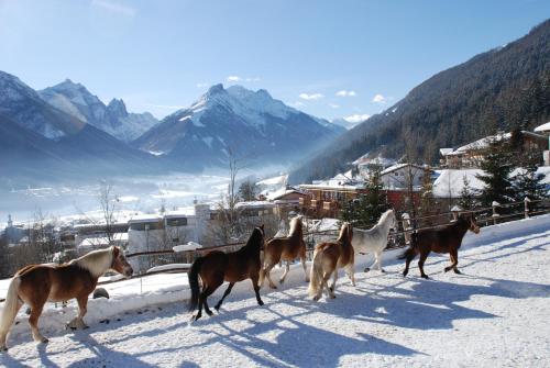 KASSNHOF - Urlaub in den Bergen