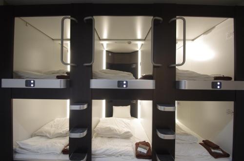 Bunk Bed in Mixed Dormitory Room