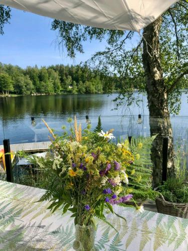Viesnīcas āriene, Architect House With Private Dock At Immeln in Immeln