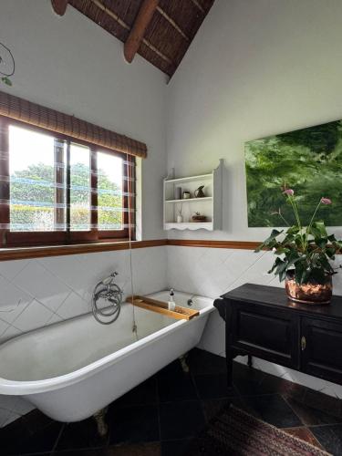 Papillon Farmhouse - Organic Farm Jeffrey's Bay in Humansdorp