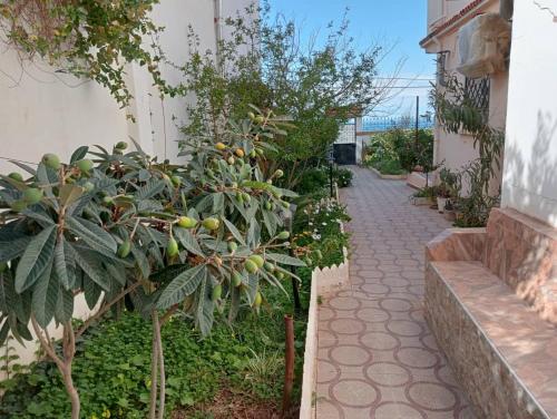Dārzs, Niveau de villa calme avec superbe vue sur mer in Cherchell