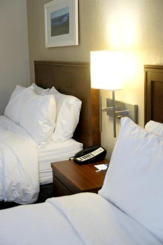 Deer Lake Horizon Hotel, BW Signature Collection - 수영장
