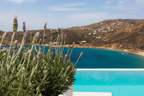Greco Philia Hotel Boutique Mykonos - image 34