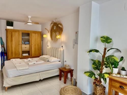 BoHO Apartment with Rooftop Pool