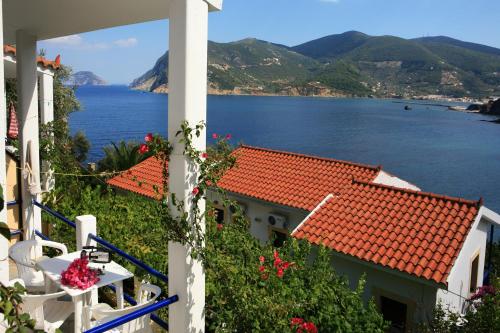  Kavouris in Skopelos