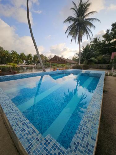 L'île de Marie-Jo (L'ile de Marie-Jo) in Assinie-Mafia