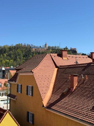 Graz City Penthouse