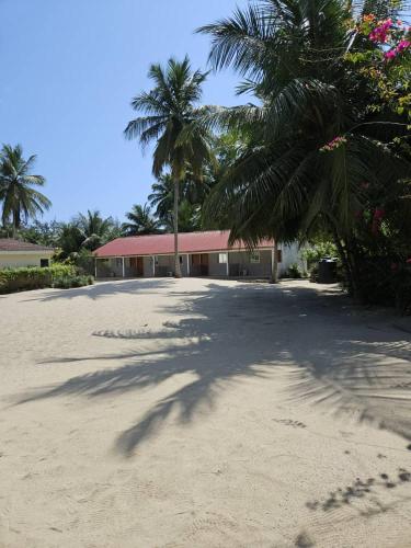 L'île de Marie-Jo (L'ile de Marie-Jo) in Assinie-Mafia