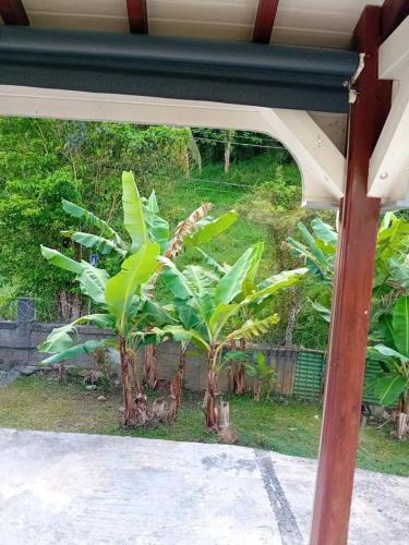 Garden, Charmant Bungalow avec Vue sur le Jardin a Les Abymes in Baimbridge